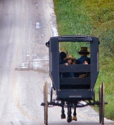 indiana_amish_buggy[1][1].jpg